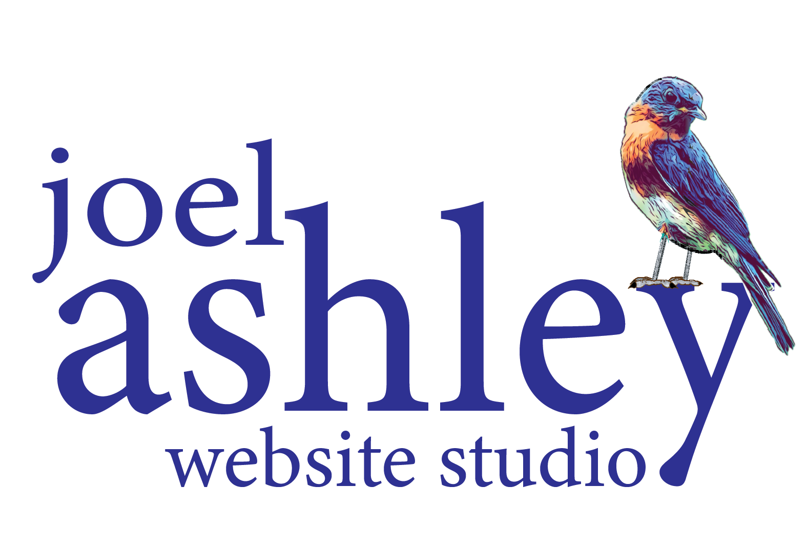 joel ashley LLC