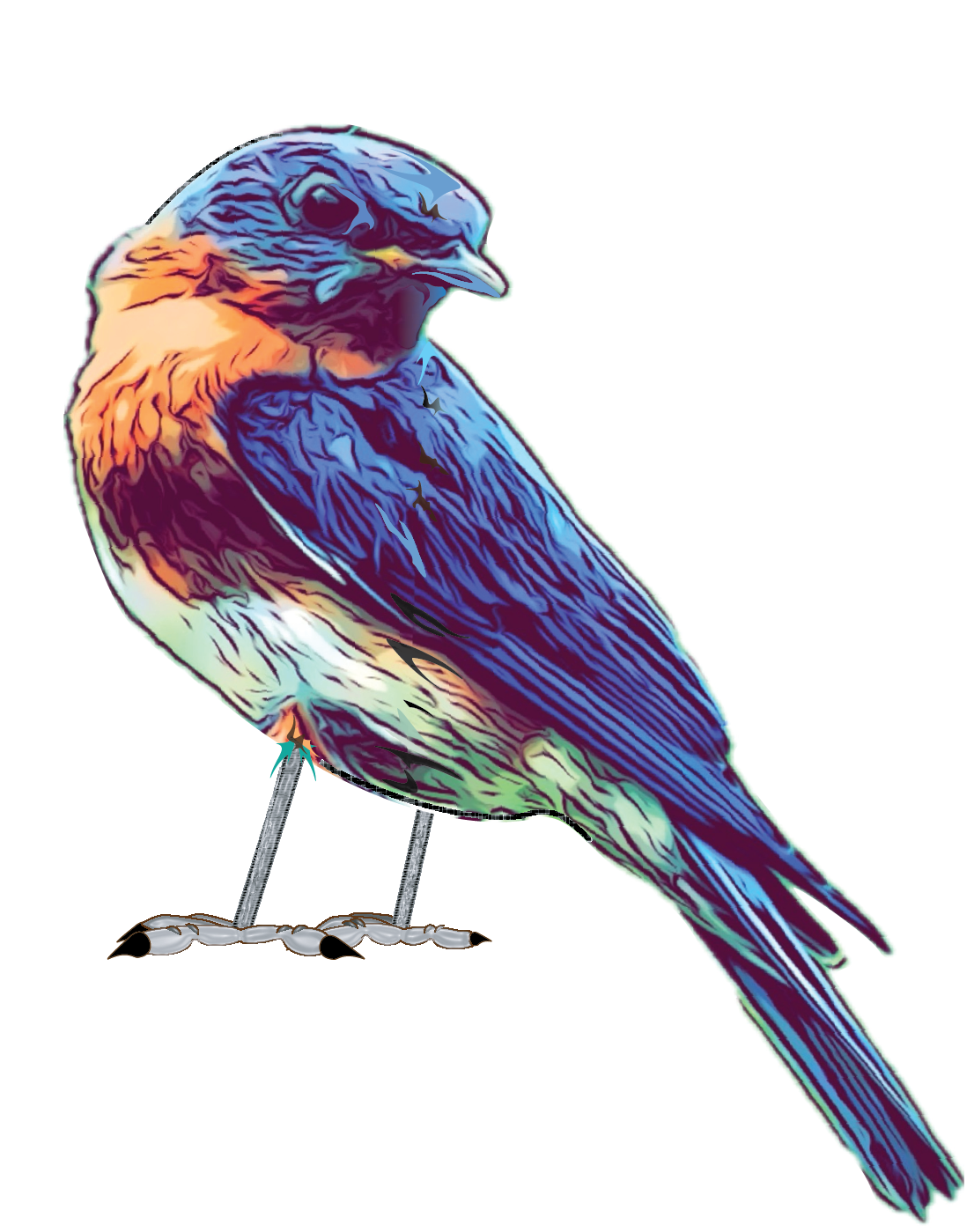 Bluebird Logo